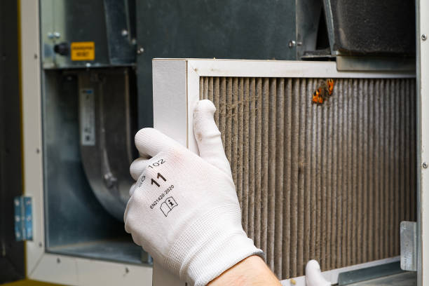 Best Professional Duct Cleaning Services  in Bovina, TX