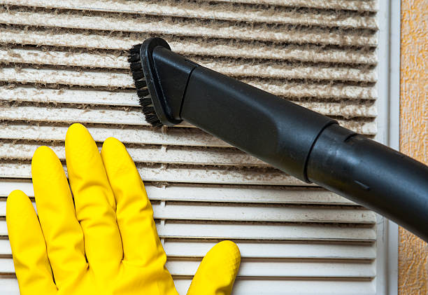 Best Air Duct Sanitizing Services  in Bovina, TX